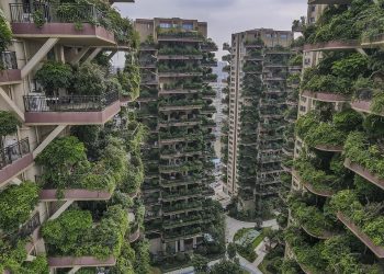 ഈ ഫ്‌ളാറ്റുകള്‍ നിറയെ ഫോറസ്റ്റാണല്ലോ !