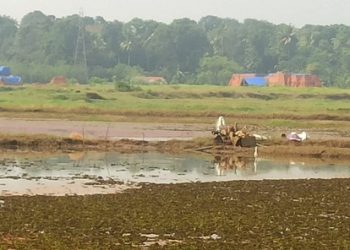 പാടശേഖരത്തിന് വിനയായി കനാലിലെ വെള്ളം