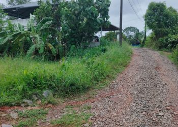 അയ്യമ്മനാരി താഴം റോഡ് അടിയന്തിരമായി നന്നാക്കണം